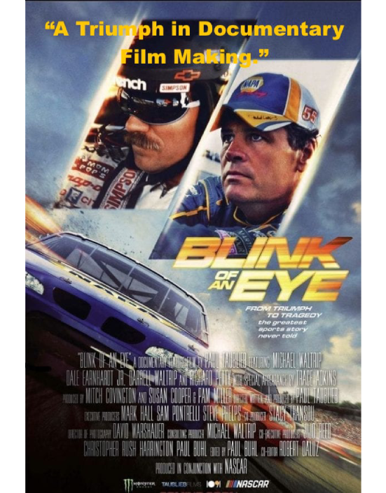 Official movie poster for Blink of an Eye